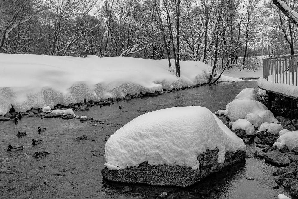 Фотография автора Григорий