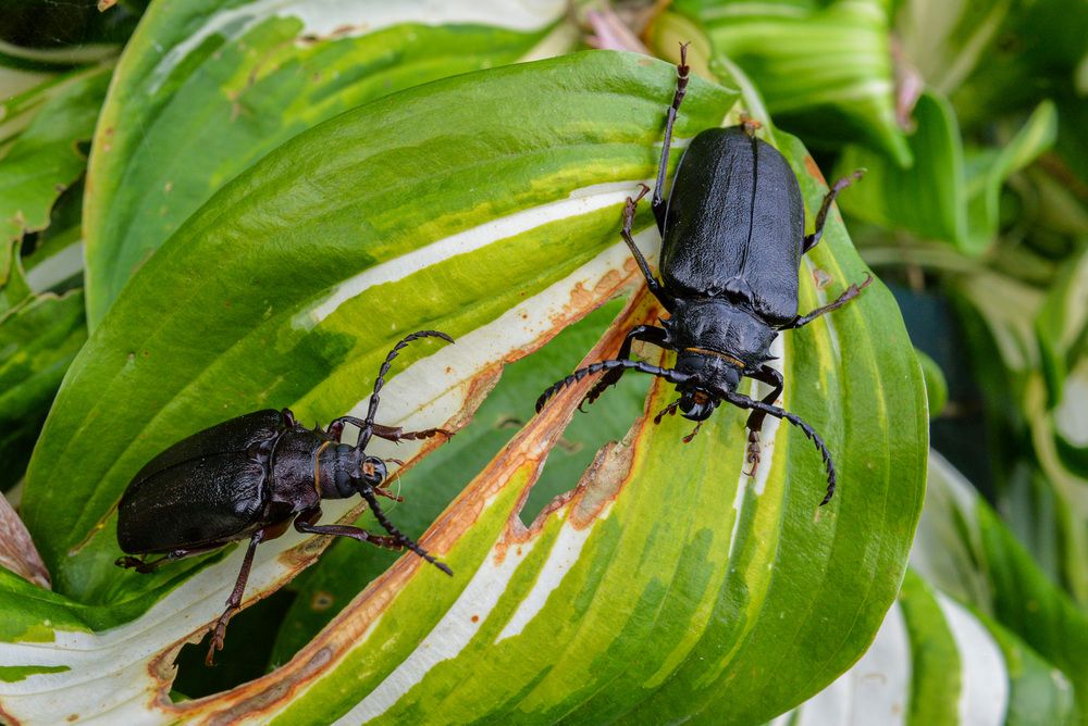 Photograph by Эдуард Шадров