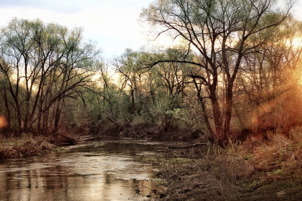 Фотография автора Инна Карасева