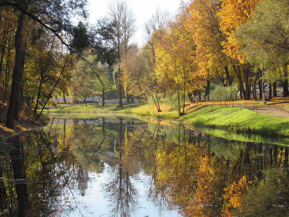 Фотография автора Евгений Щипин