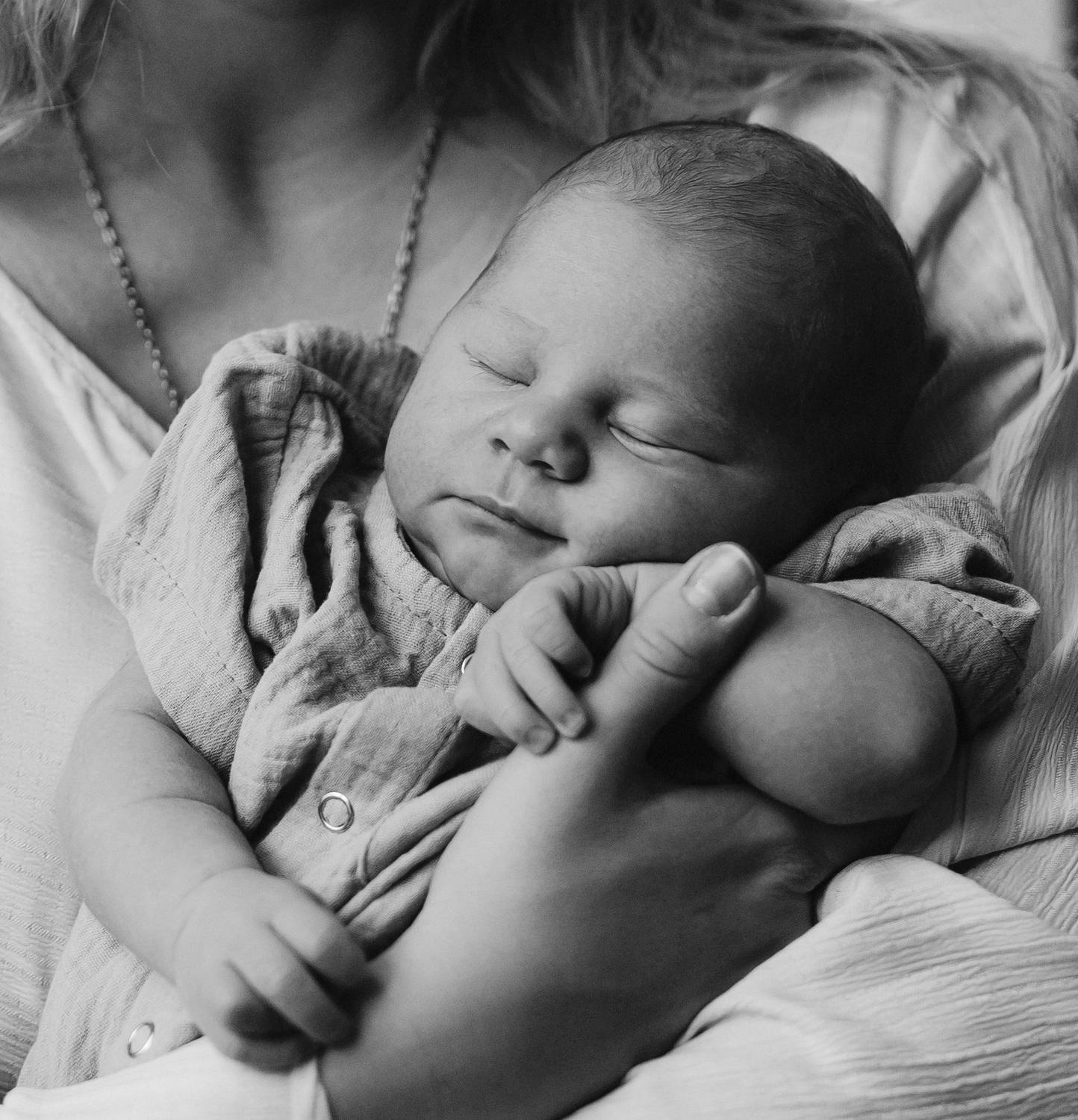 Photo #13404667