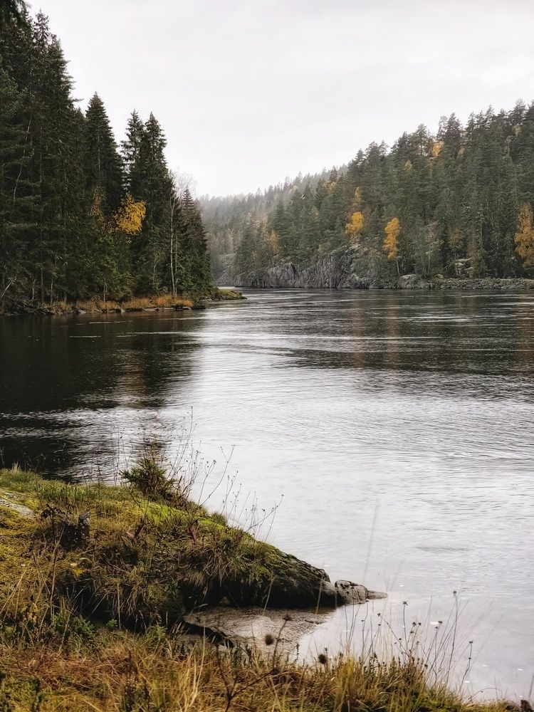 Фотография автора Alina Filimonova