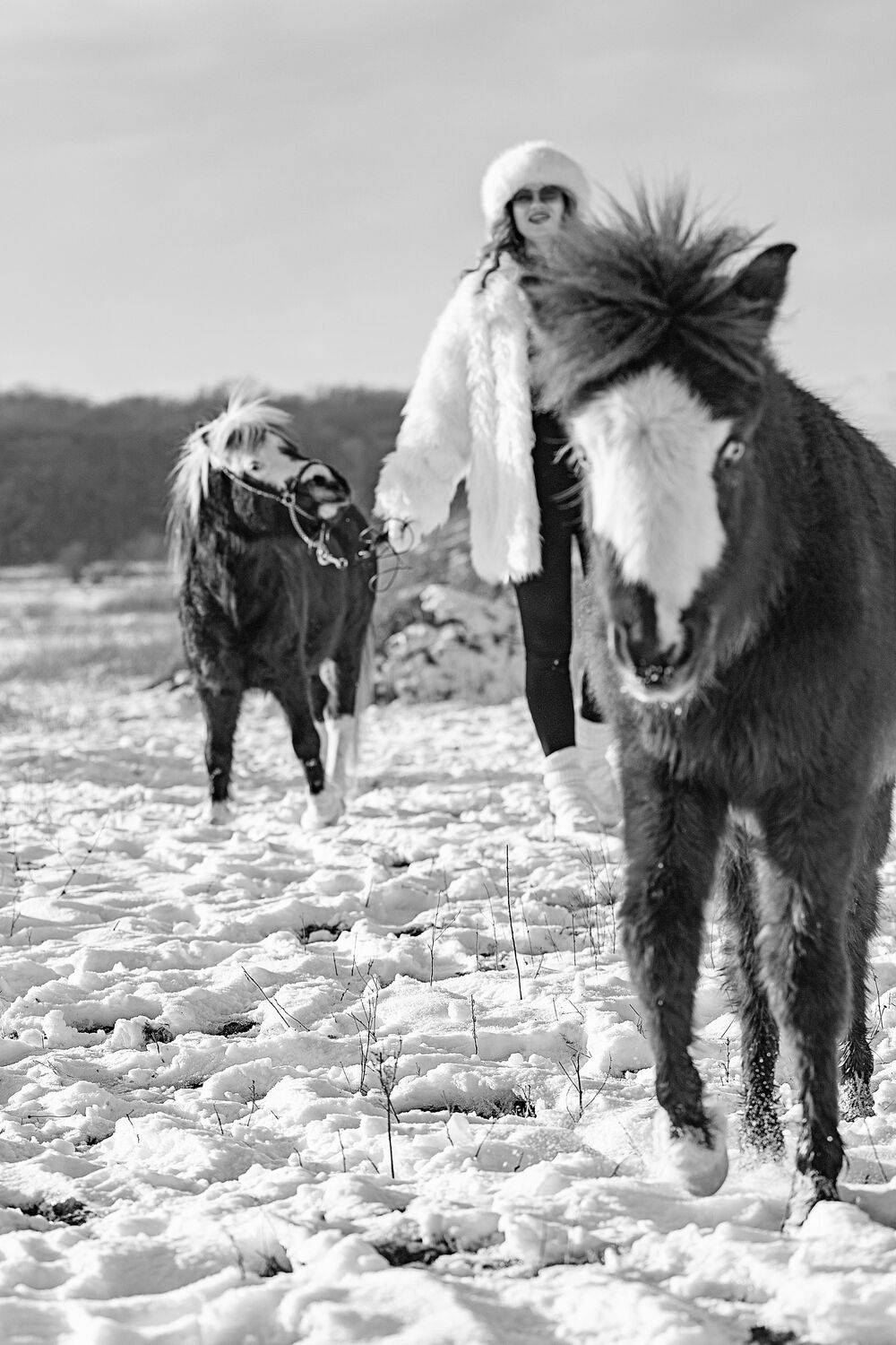 Фотография #13404680