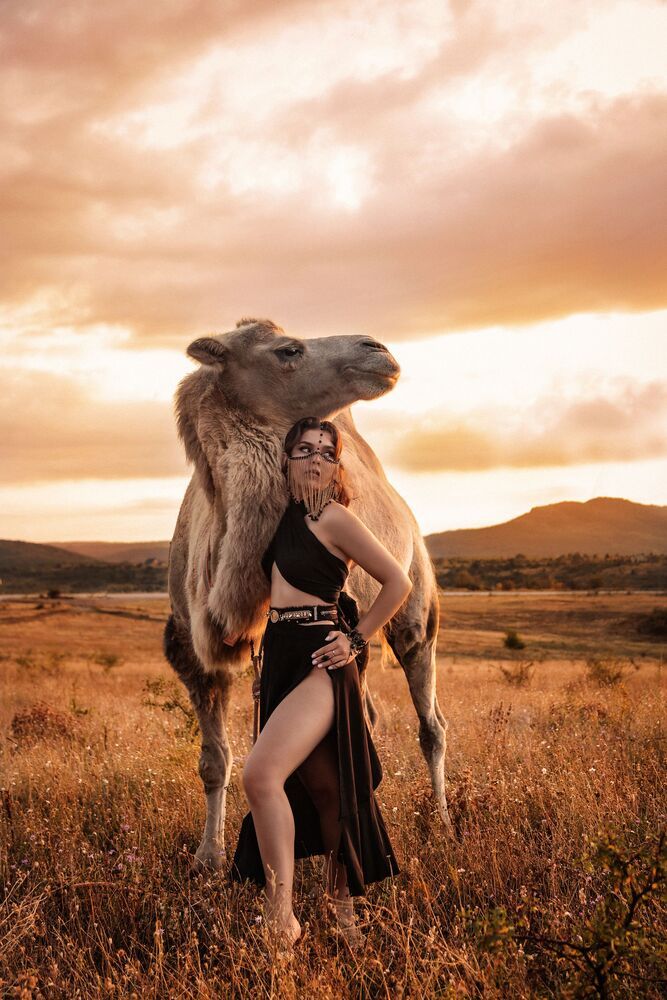 Desert rose