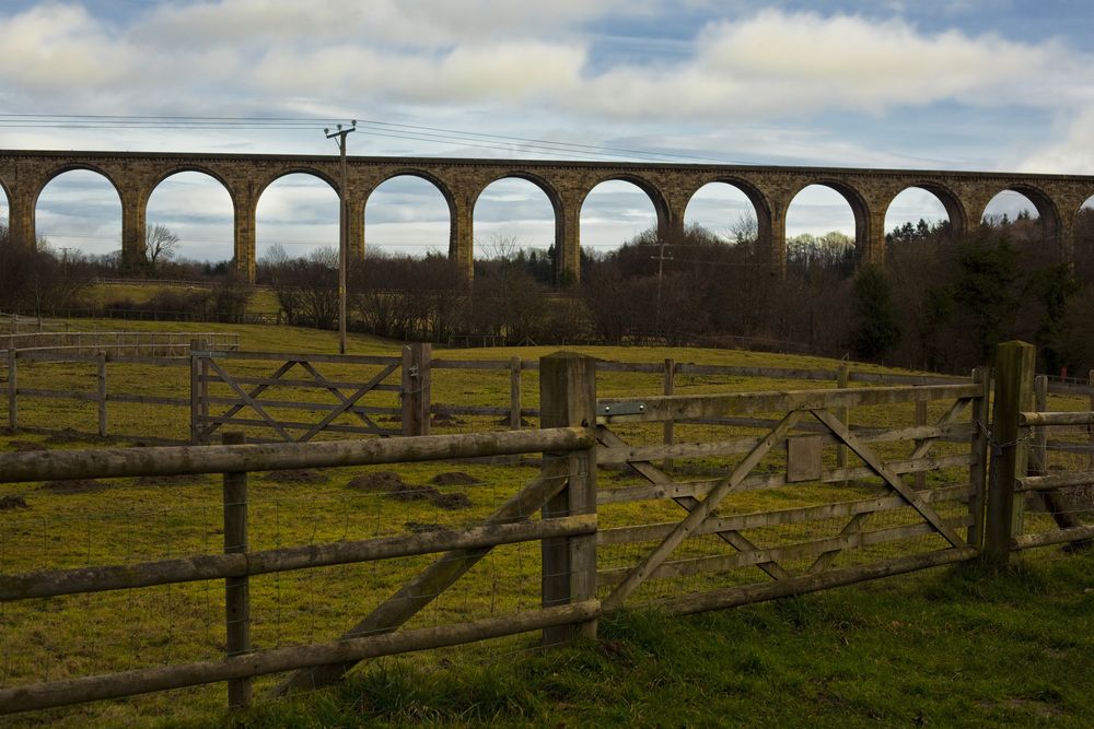 Photograph by Александра Степанова
