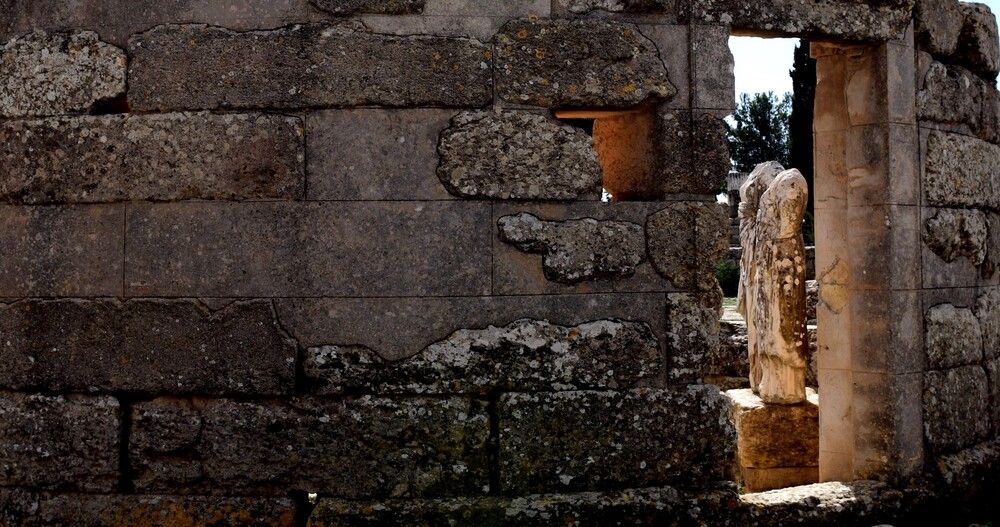 Photograph by ENVER ÇİÇEK