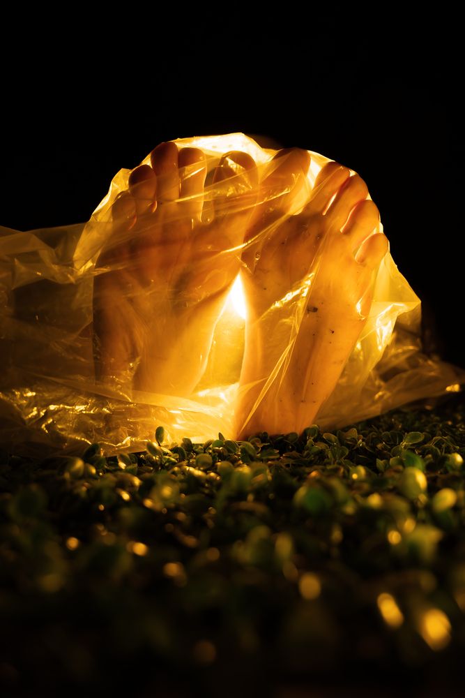 Fragile Light of Life