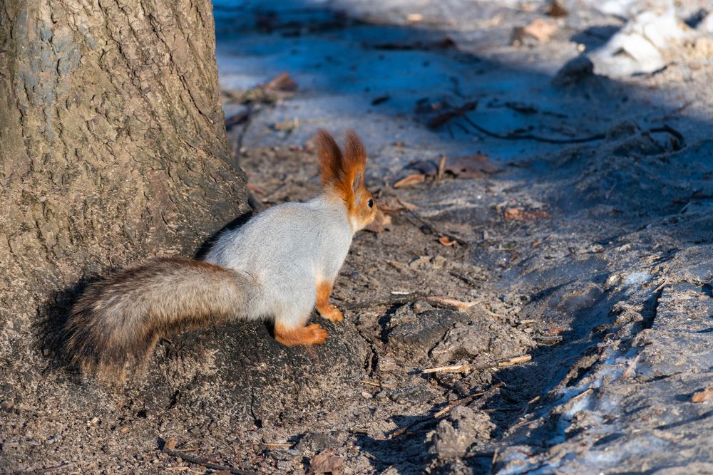 Photograph by Екатерина