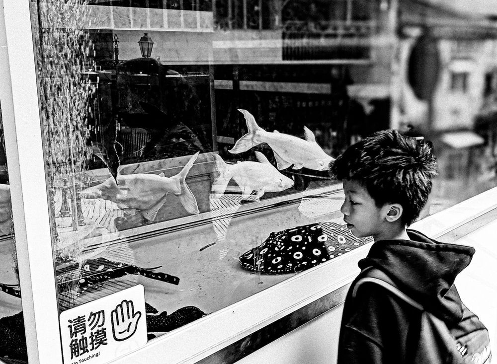STREET FISH