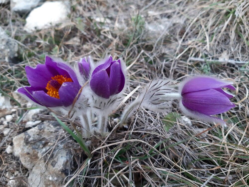 Photograph by Галина Глазкова