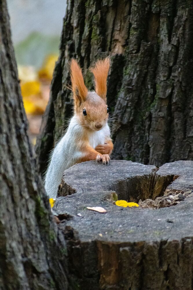 Photograph by Екатерина
