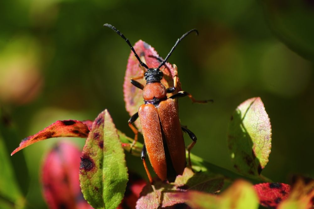 Photograph by Елена Наленч
