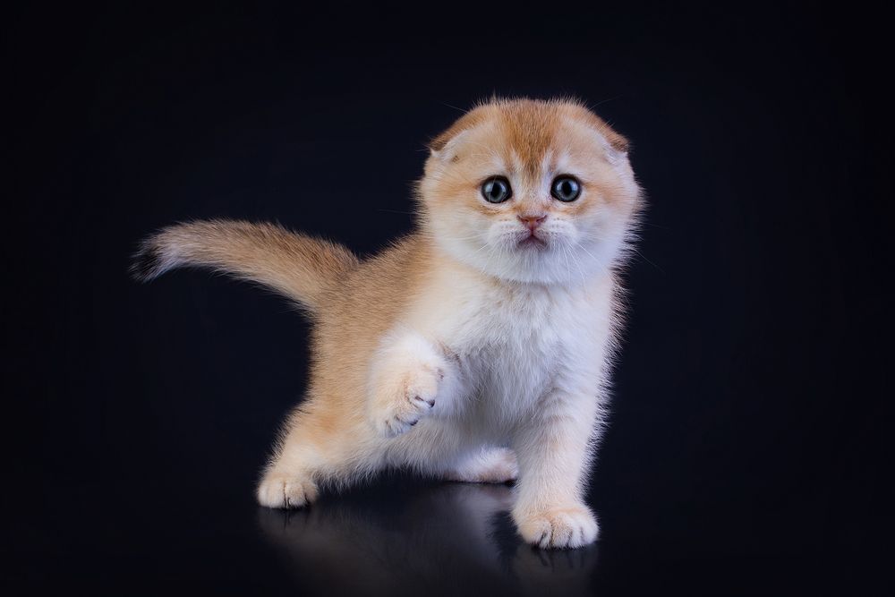Photograph by Стрижаченко Инга