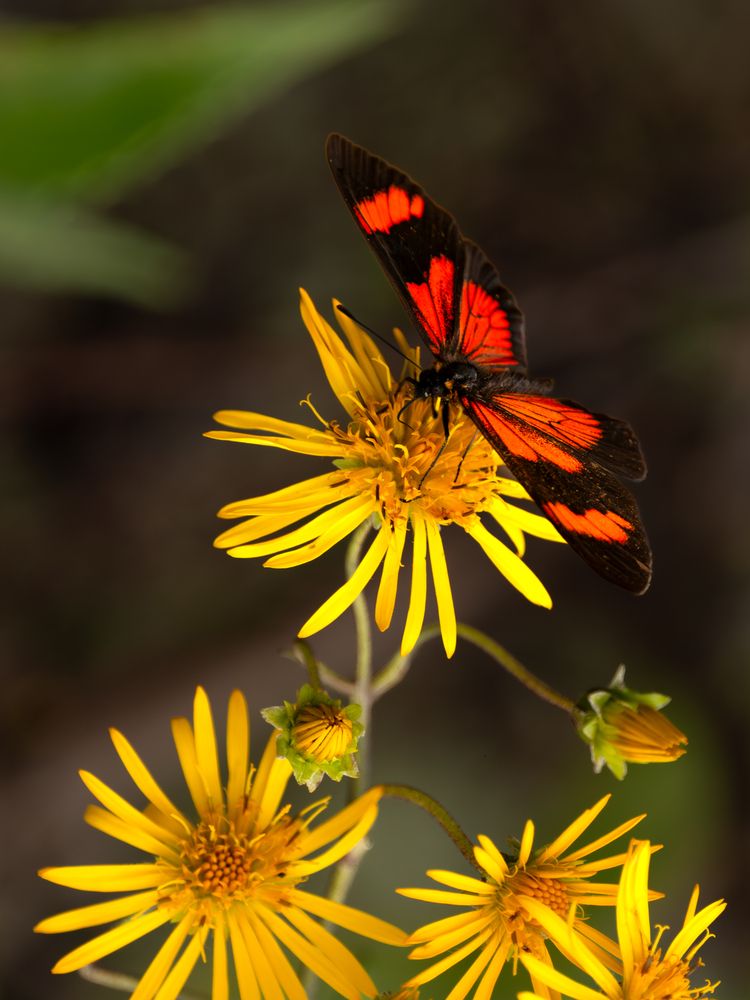 Photograph by Иван Кирсанов