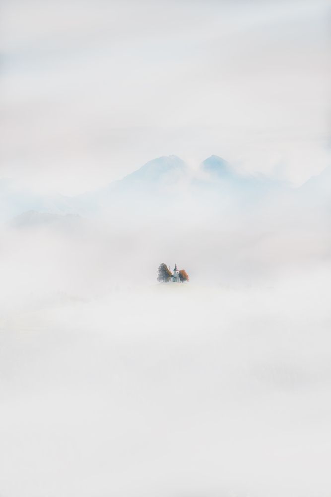 Sanctuary in the Fog