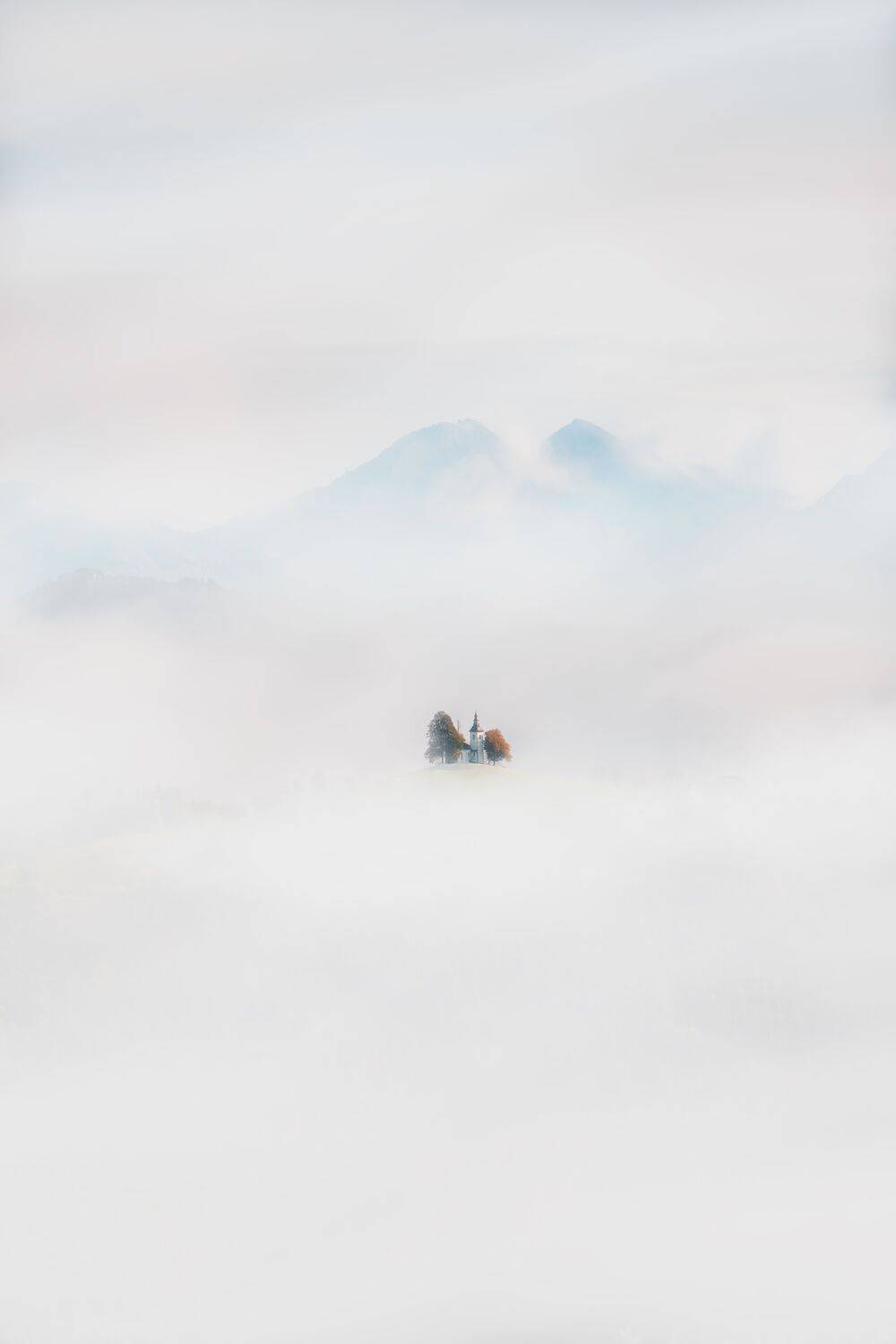 Sanctuary in the Fog