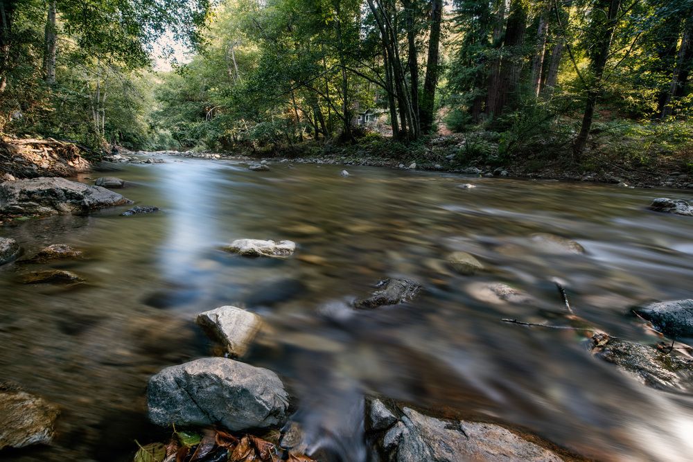 Фотография автора Ramin Barzegar