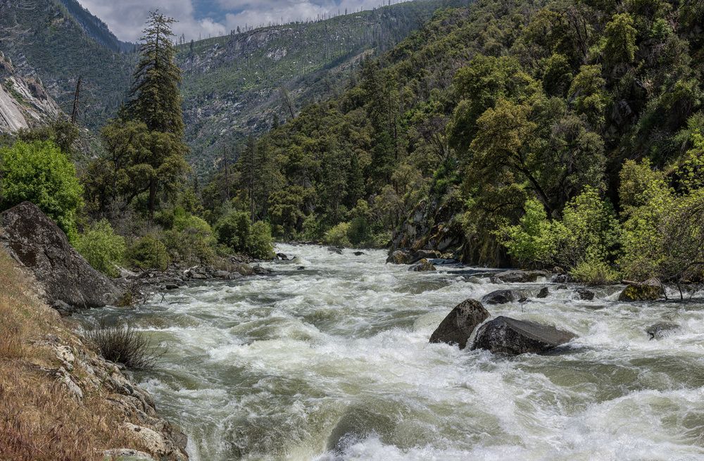 Фотография автора Ramin Barzegar