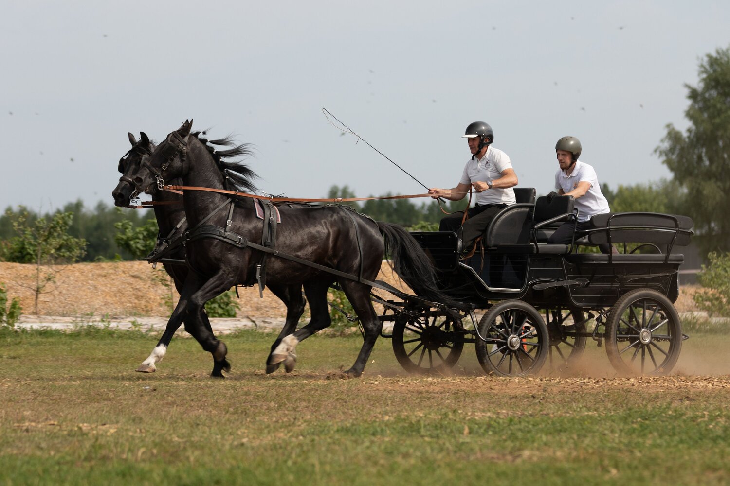 Photo #13405333