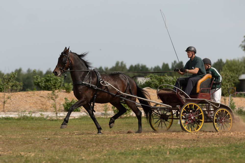 Photograph by Анастасия Петрова