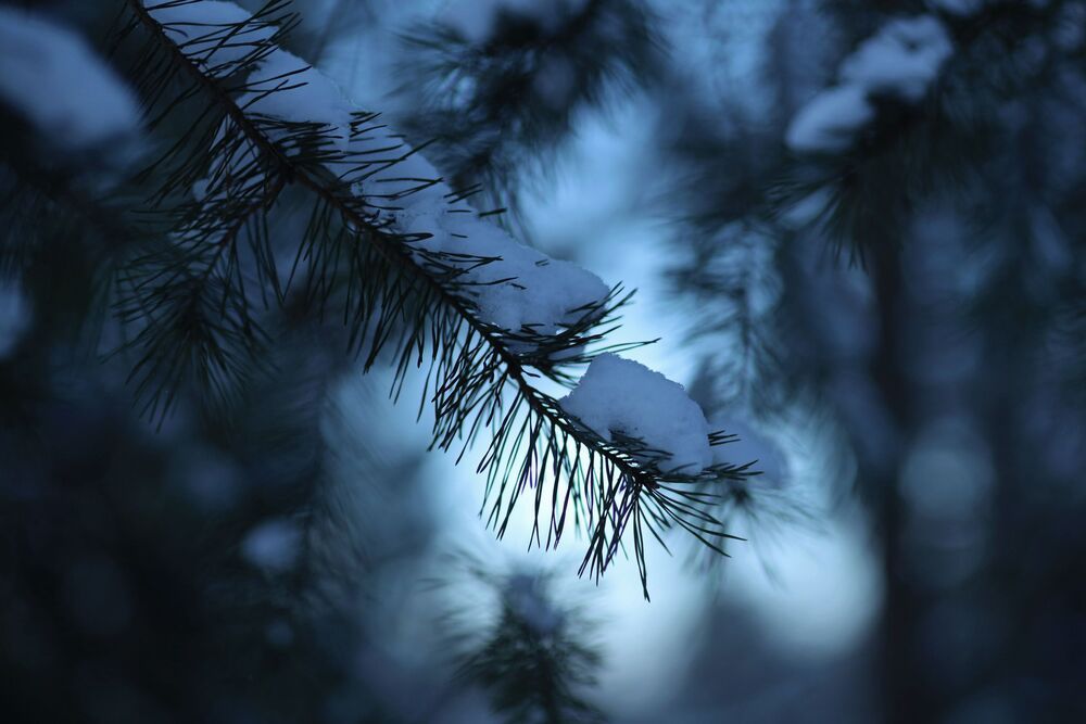 Photograph by Ирина Муравьева