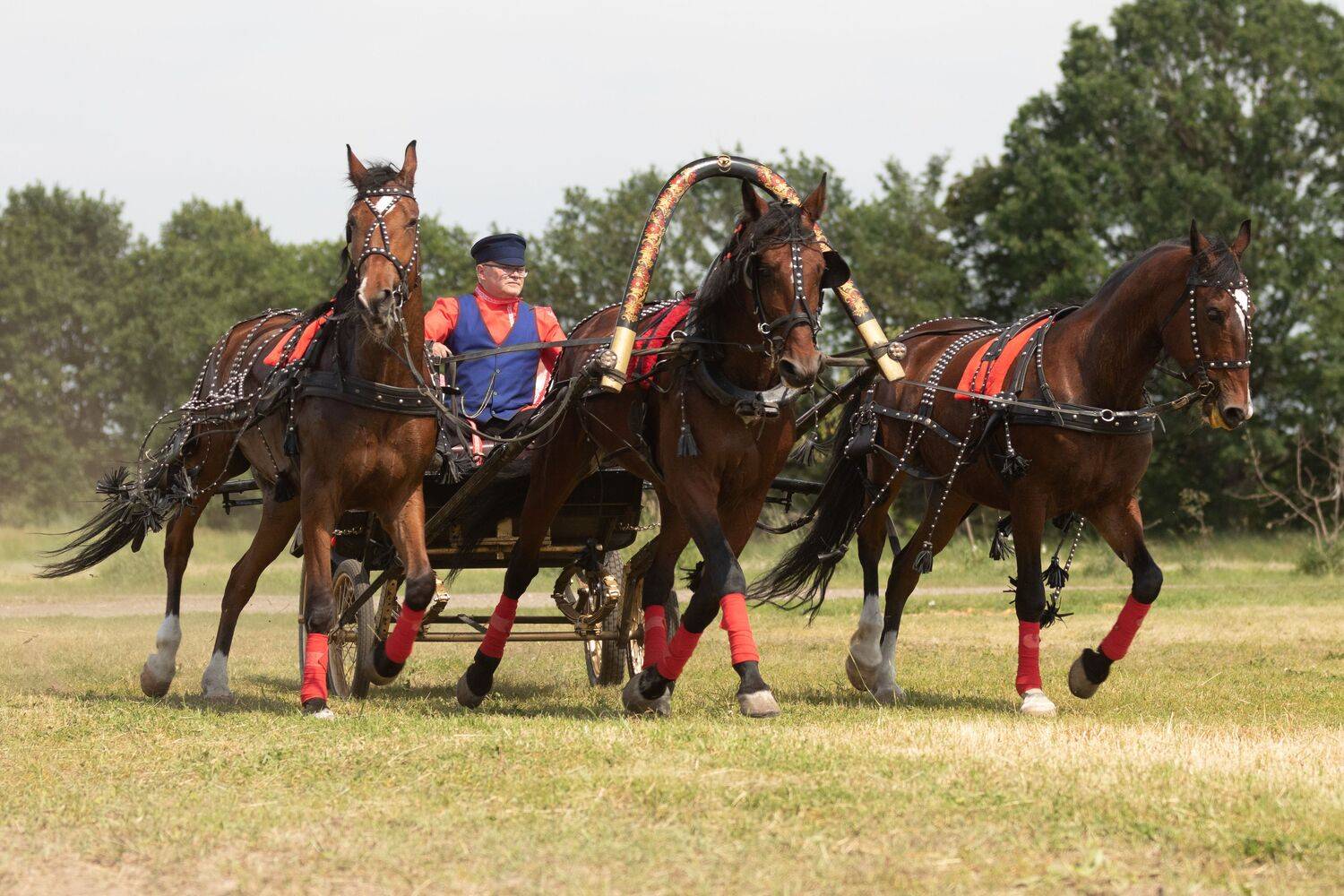 Птица-тройка