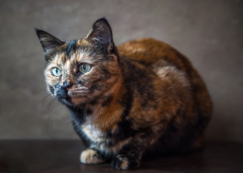 Photograph by Сергей Алексеев