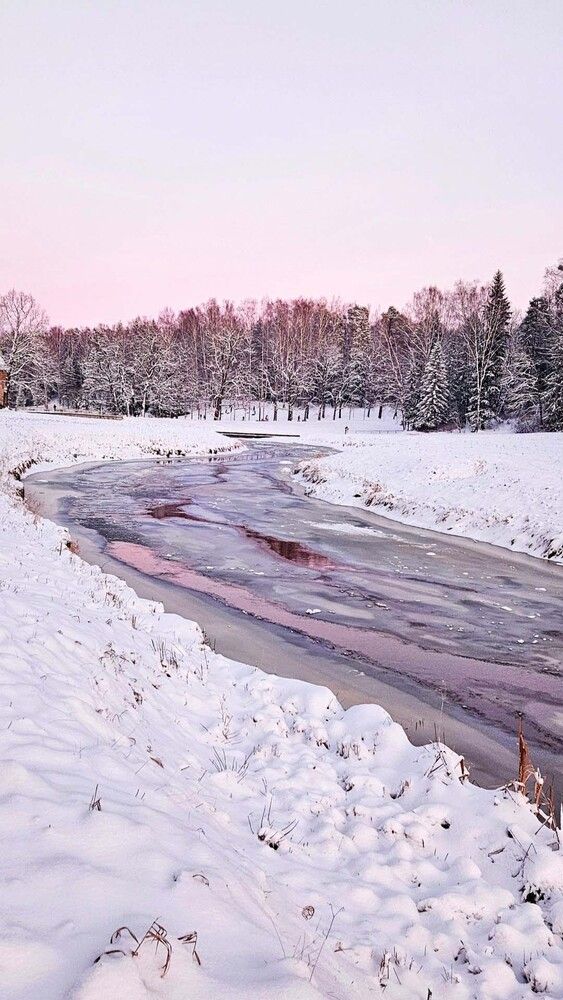 Photograph by Наталья Шумиловская