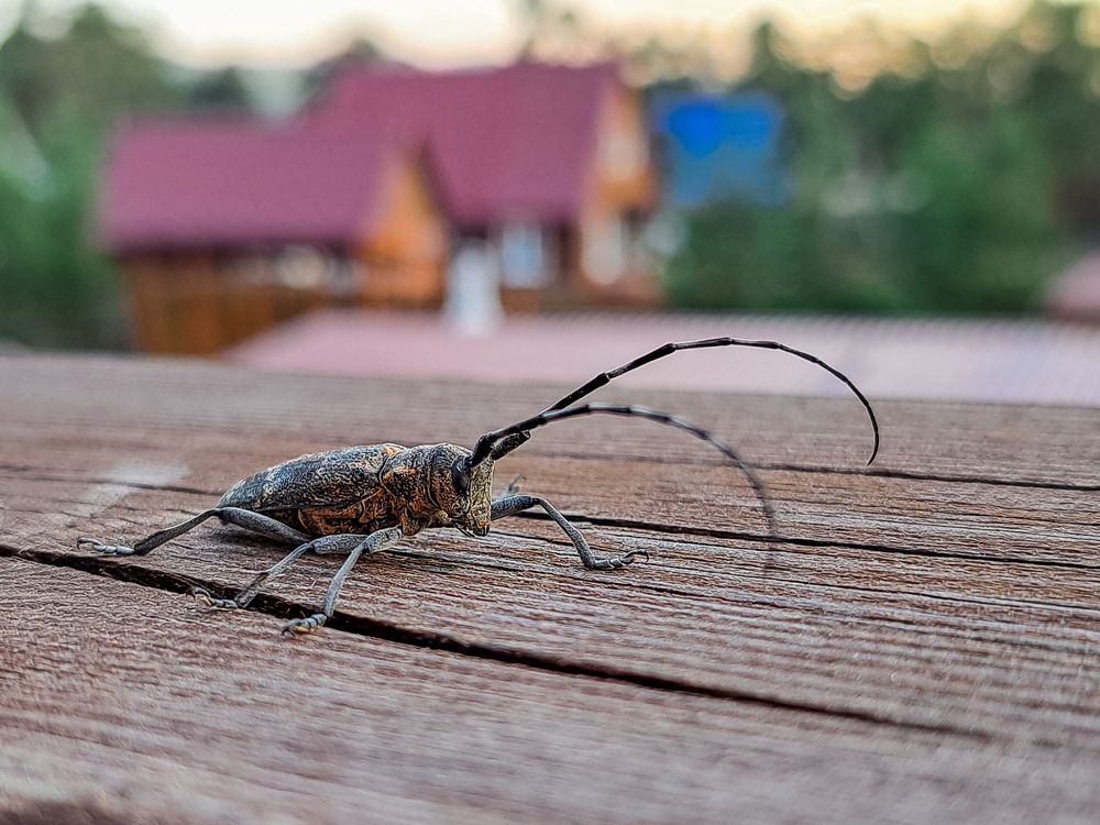 Photograph by Виктор Сёмушкин