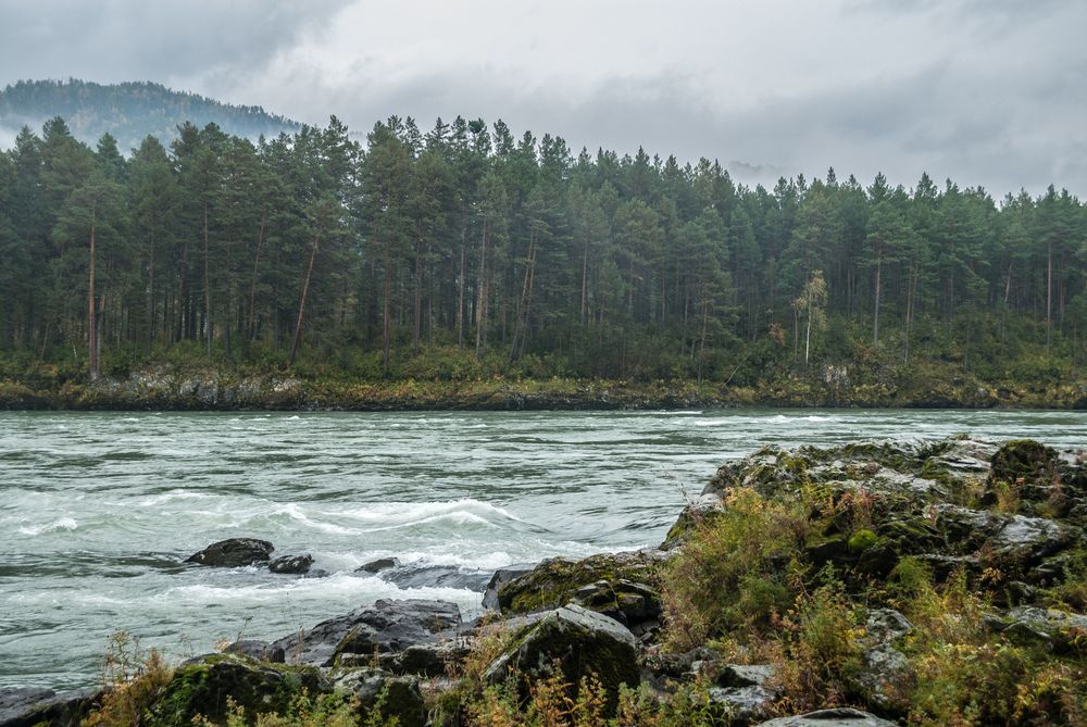 Photograph by Александр Мороз