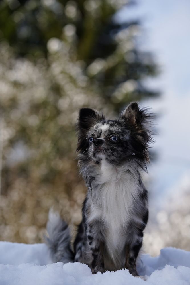 Photograph by Юлия Отставнова