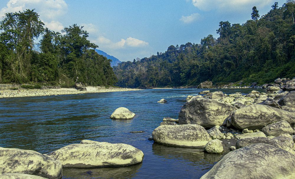 River of Resilience