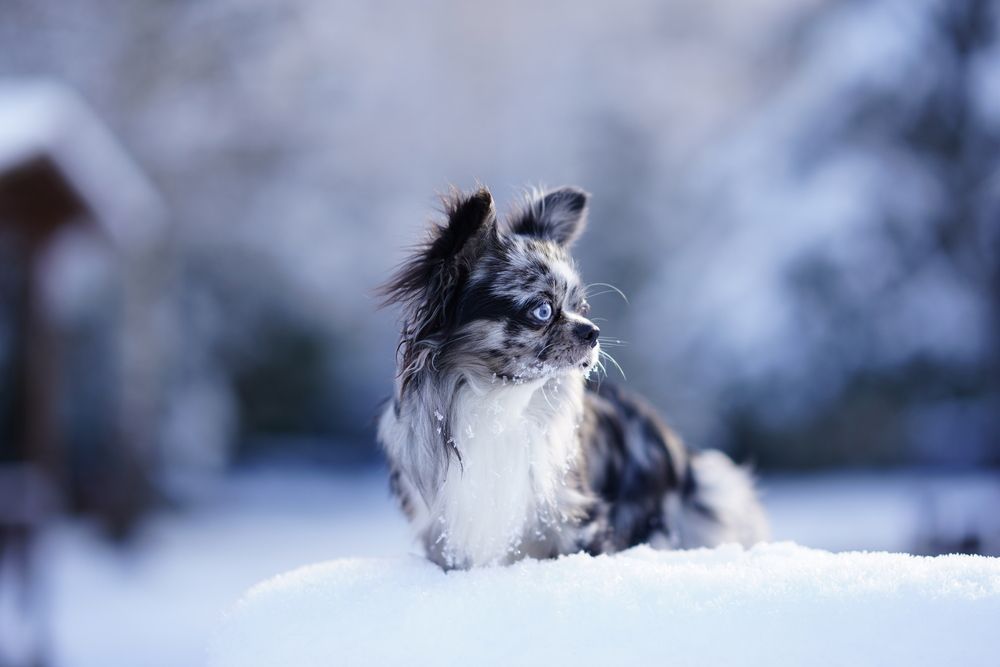 Photograph by Юлия Отставнова