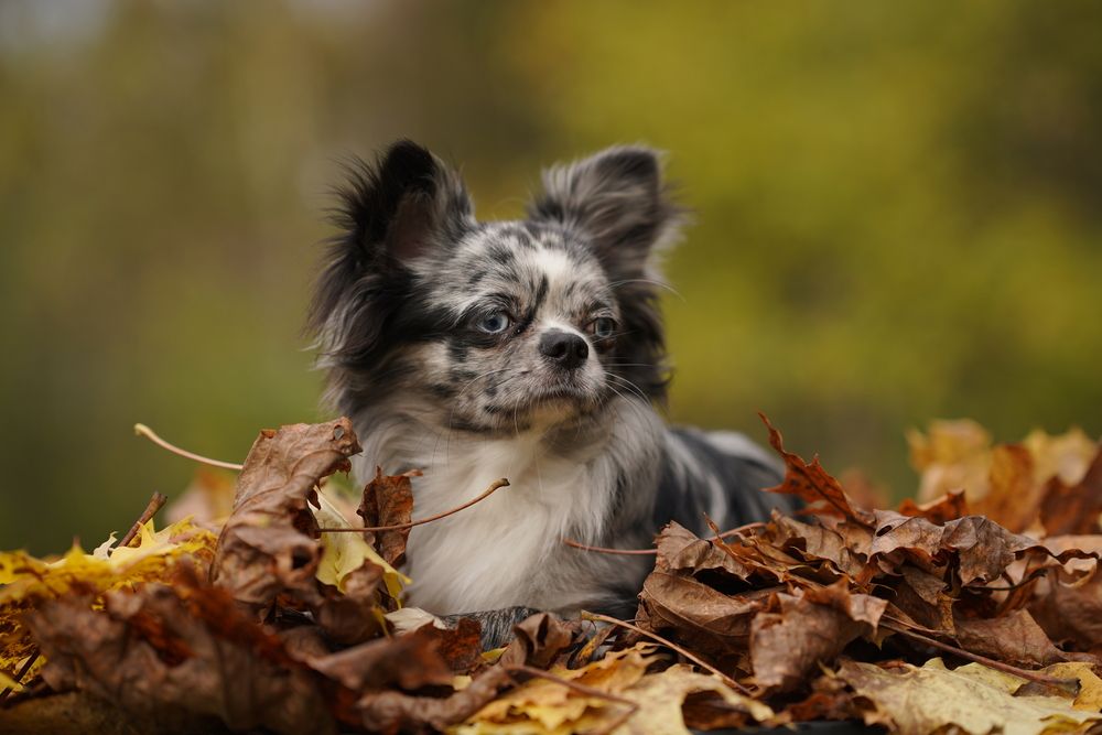 Photograph by Юлия Отставнова