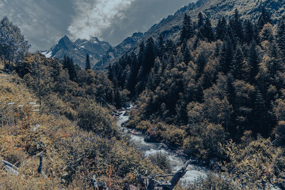 Photograph by Бренцис Дмитрий