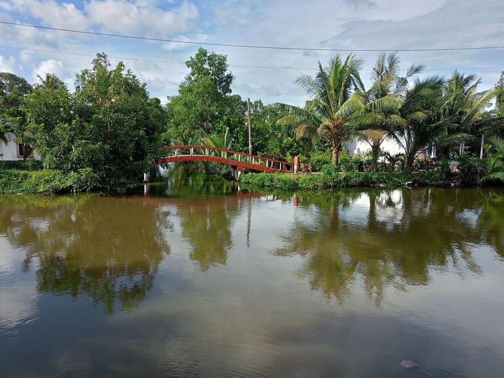 Photograph by Tân Trần Thanh