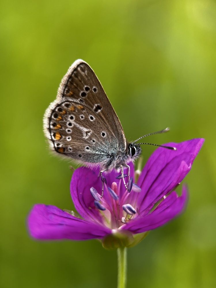 Photograph by Юлия Отставнова