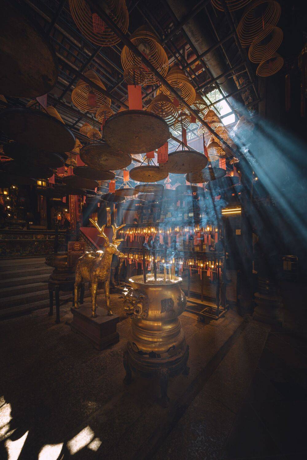 Фотография #13406067