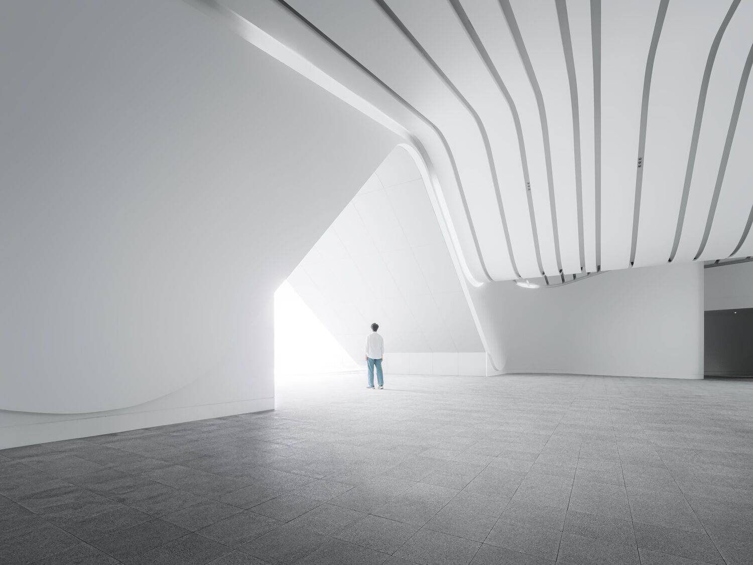 Фотография #13406079