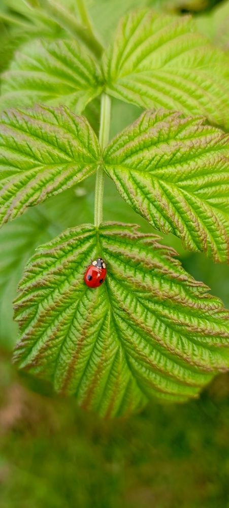 Photograph by André Photographe