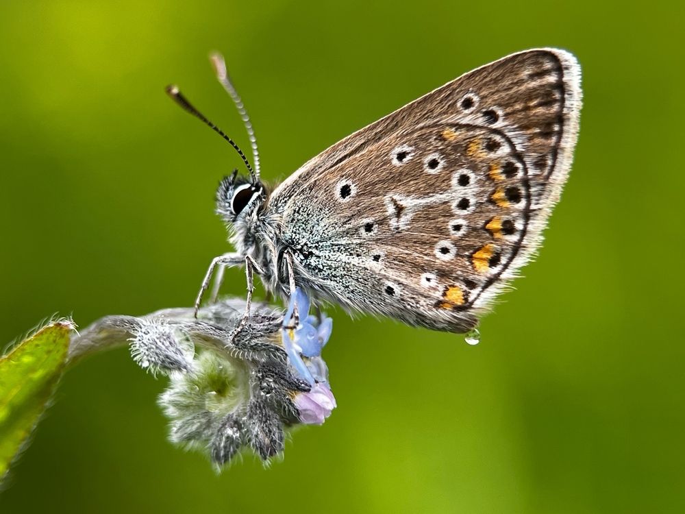 Photograph by Юлия Отставнова