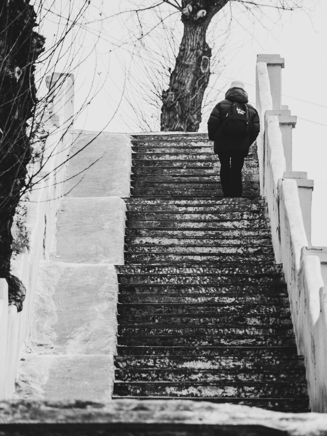 Фотография #13406211