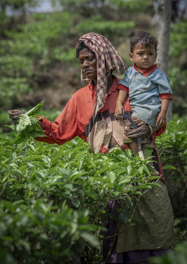 Photograph by Сергей Танков