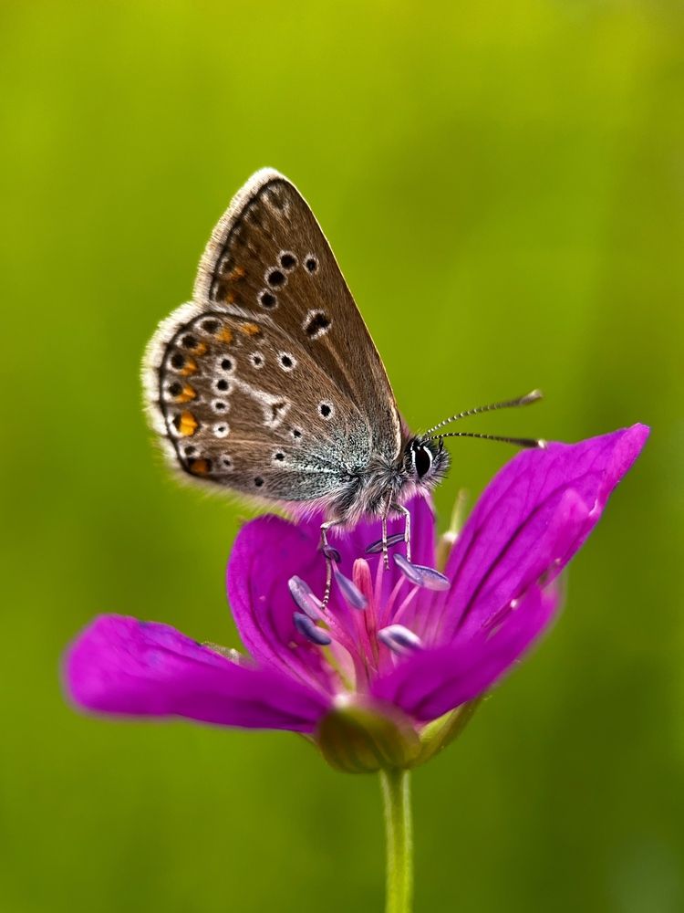 Photograph by Юлия Отставнова