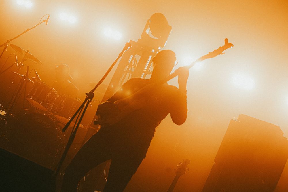 Photograph by Полина Кальтер