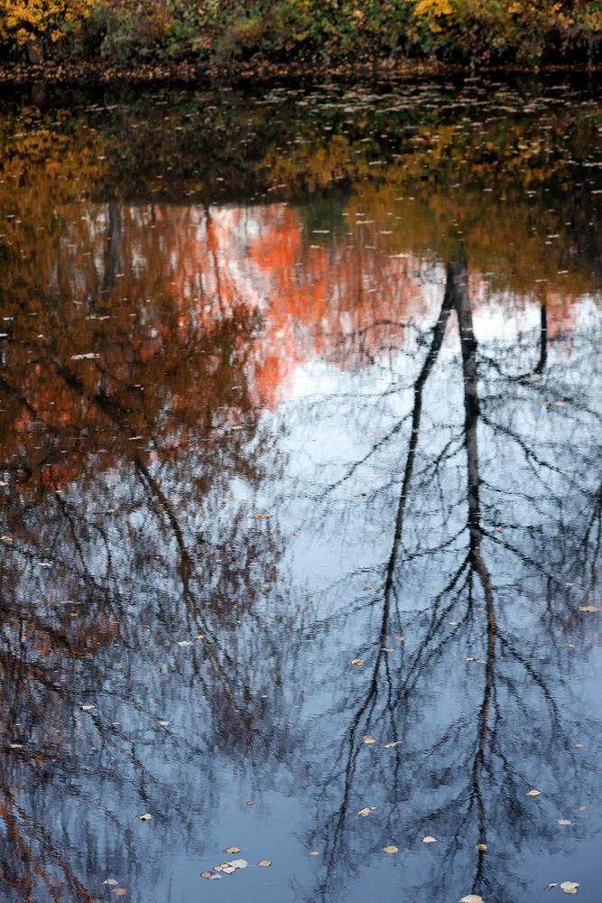 Photograph by Ирина Муравьева