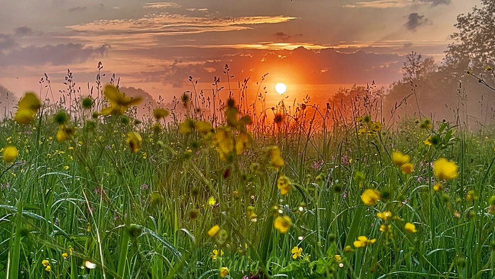 Photograph by Юлия Отставнова