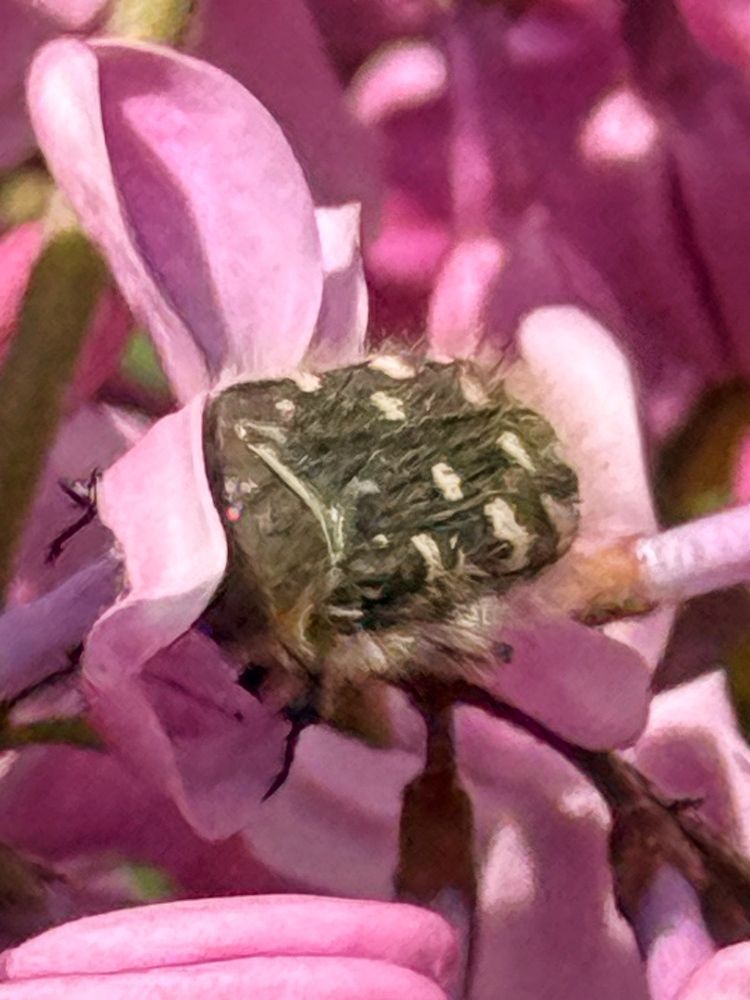 Photograph by Ирина Голомб