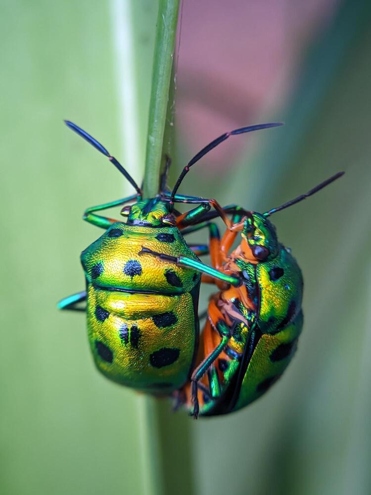 Photograph by Ameen Ahmed L