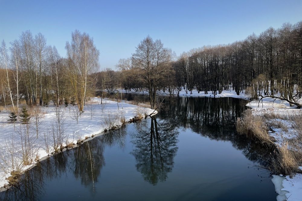 Фотография автора Надежда Смирнова
